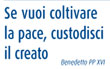 SE VUOI COLTIVARE LA PACE, CUSTODISCI IL CREATO