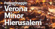 PG VERONA: GIORNATA MONDIALE DELLA GIOVENTÙ DIOCESANA